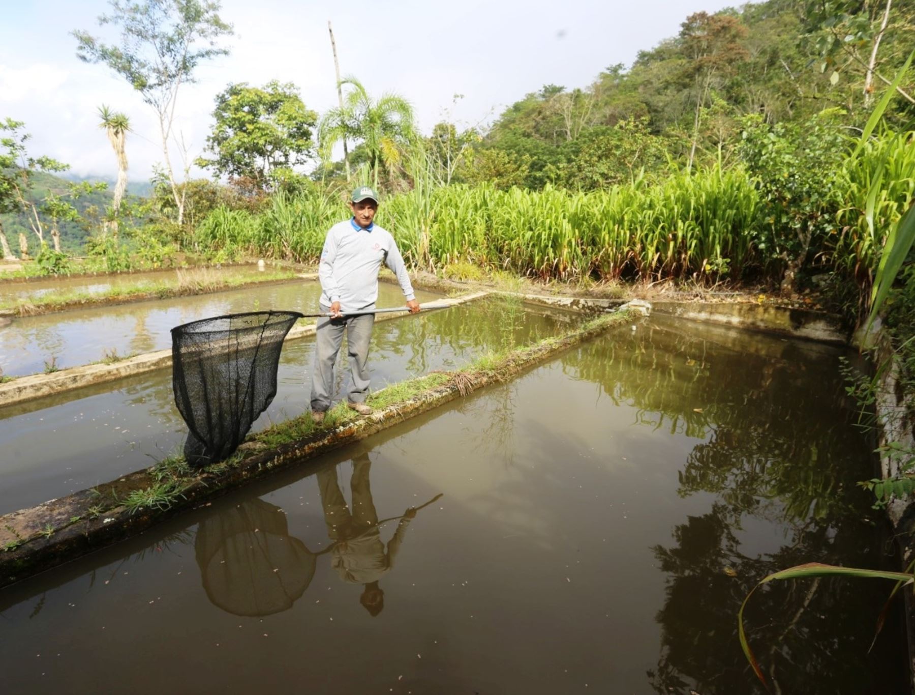 Ecuador vota por anular la extracción de petróleo en la Amazonía