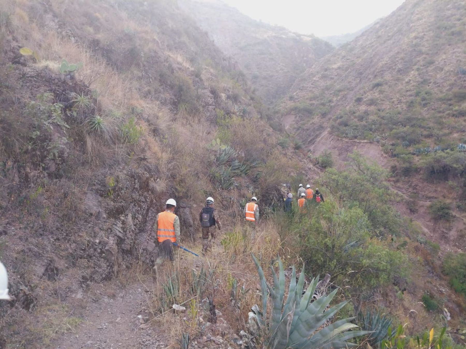 Ayacucho: brigadas sofocan incendio forestal en la provincia de Vilcas Huamán