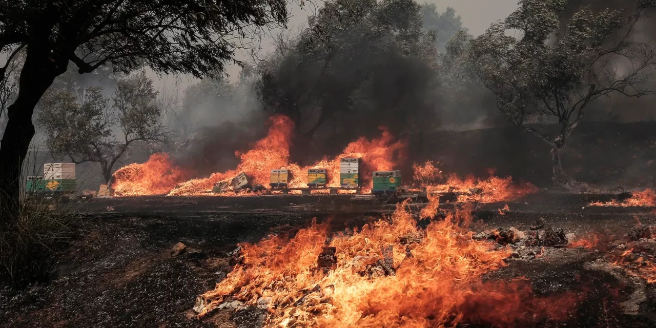 Grecia: Encuentran cuerpos carbonizados tras oleada de incendios forestales. (Foto: EFE).