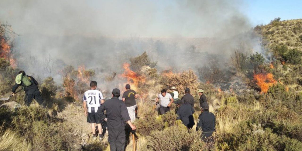 incendio forestal