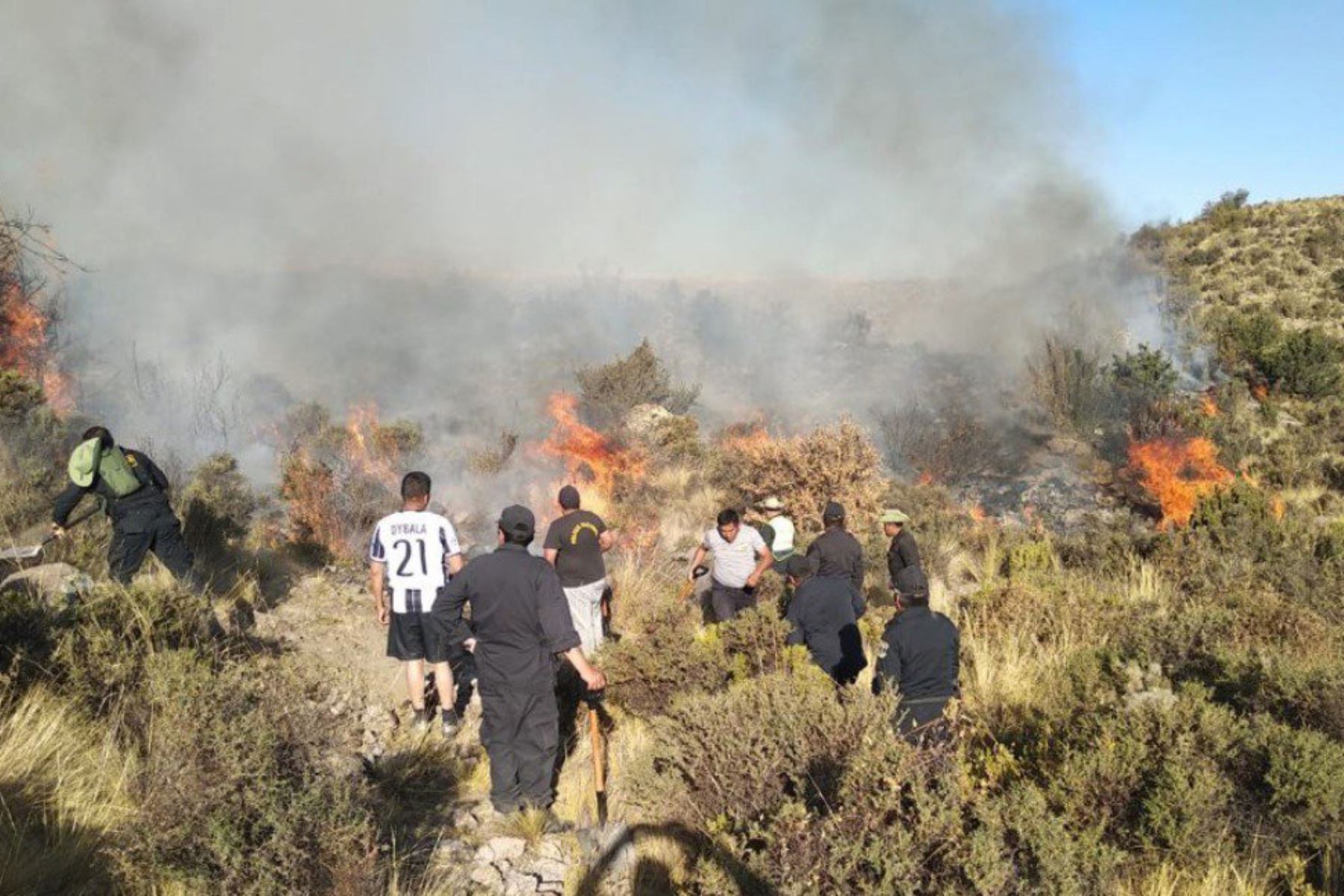 En lo que llevamos del año, se han registrado 1078 casos de incendios forestales en Perú