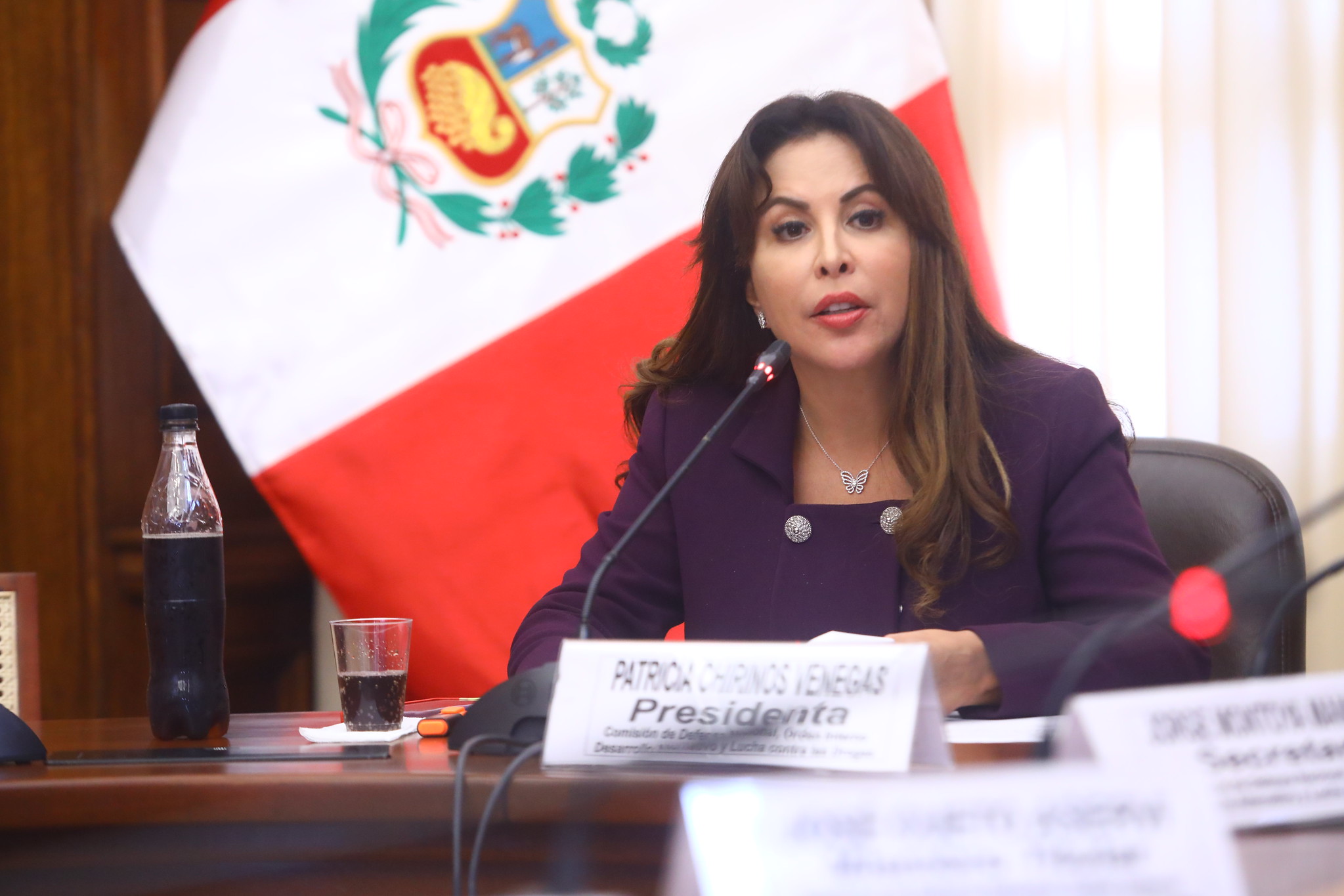 Interpelarán a ministro de Defensa, Jorge Chávez