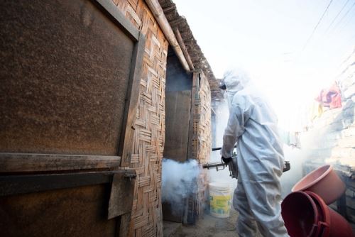 Ancash: Fumigarán 900 viviendas por aumento de casos de dengue en Santa