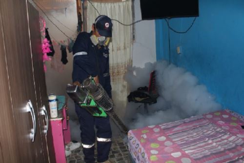 Se planea fumigar y abatizar al menos 40,000 viviendas en Tumbes para combatir el dengue