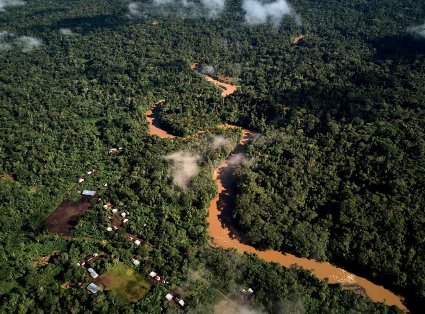 Perú solicitó mitigar efectos sobre comercio de deforestación