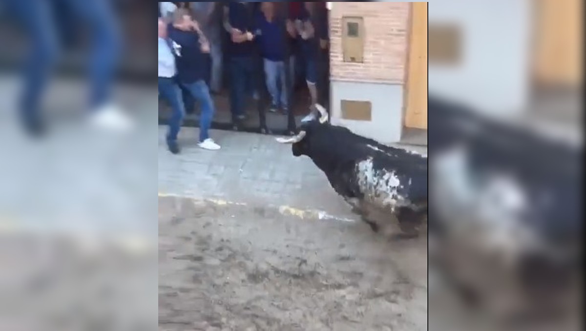 España: Hombre fallece tras ser corneado por toro