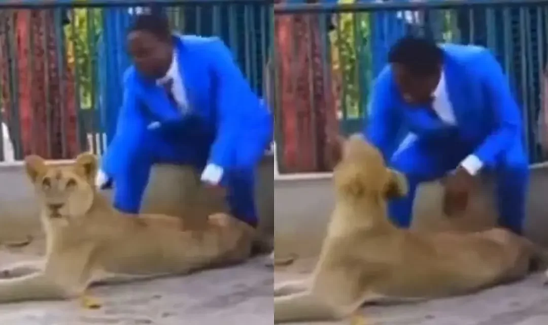 Nigeria: Leones muerden a pastor cuando intenta recrear pasaje bíblico. (Foto: Redes sociales).