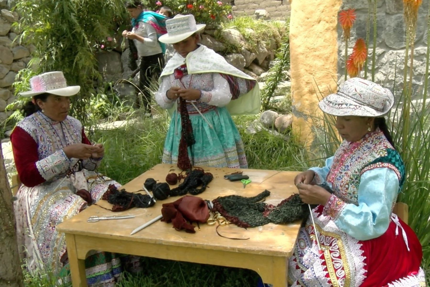 Arequipa: criadores de camélidos recuperan piel de alpaca para fabricar cuero medicinal