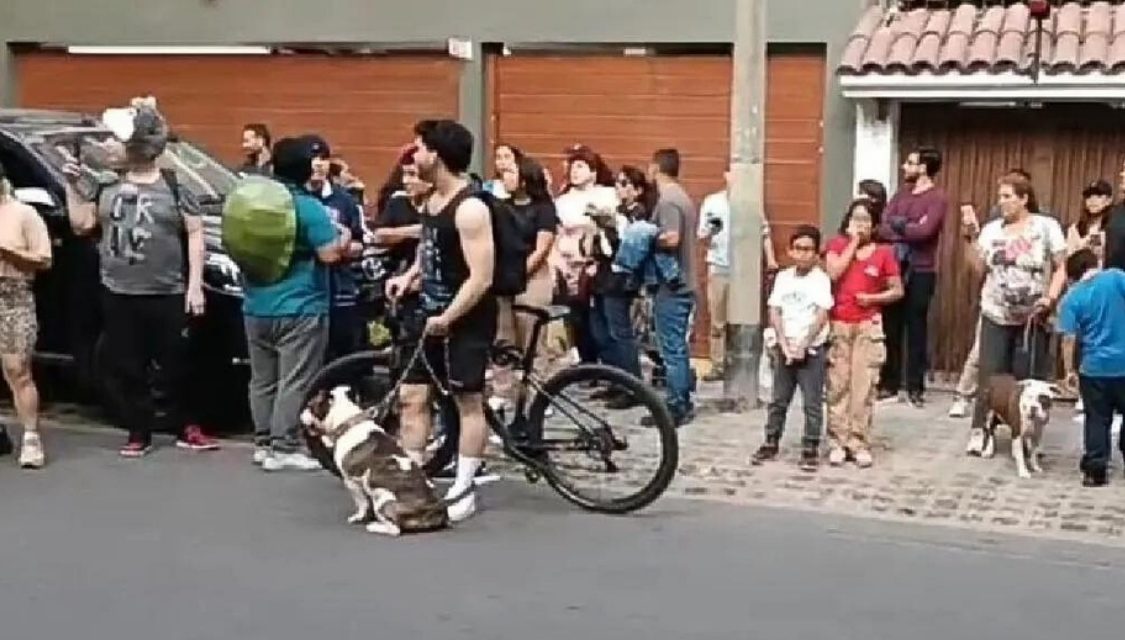 Miraflores: ciudadanos protestan contra señora que agredió a Andrés Wiese y su mascota. (Foto: redes sociales).