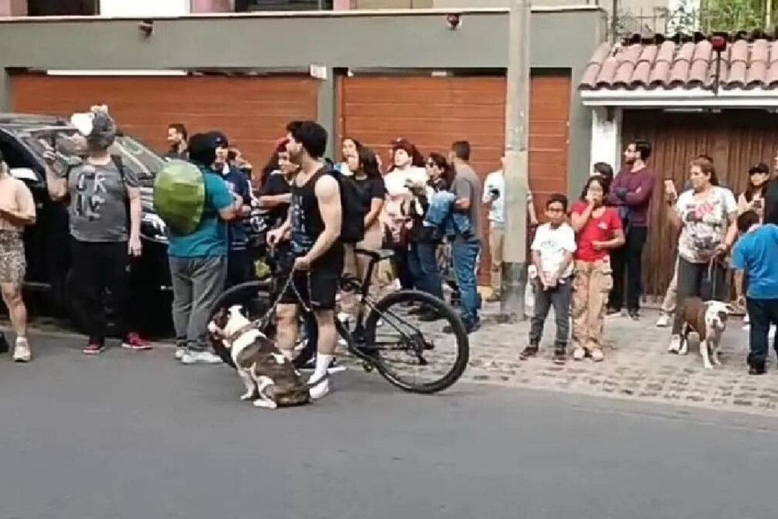 Ciudadanos protestan contra señora que agredió a Andrés Wiese y su mascota