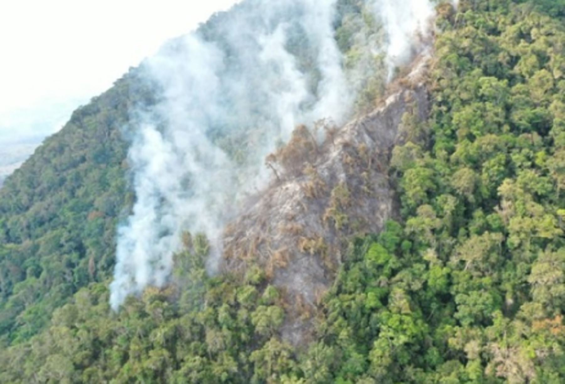 San Martín: Incendio forestal consume 30 hectáreas de bosque primario en cerro Escalera