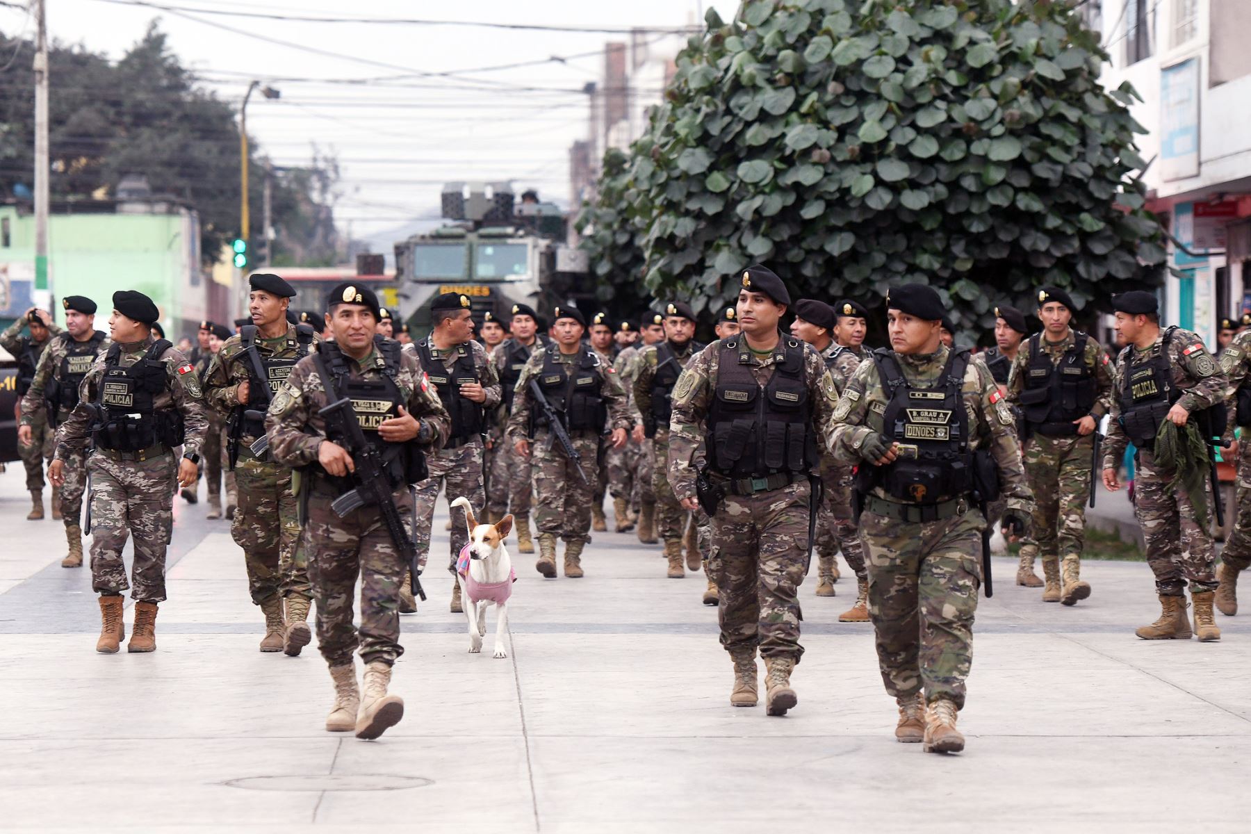 Gobierno declara estado de emergencia en el Cercado de Lima y Lince