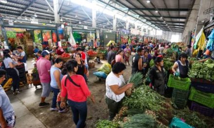 Mercado mayorista