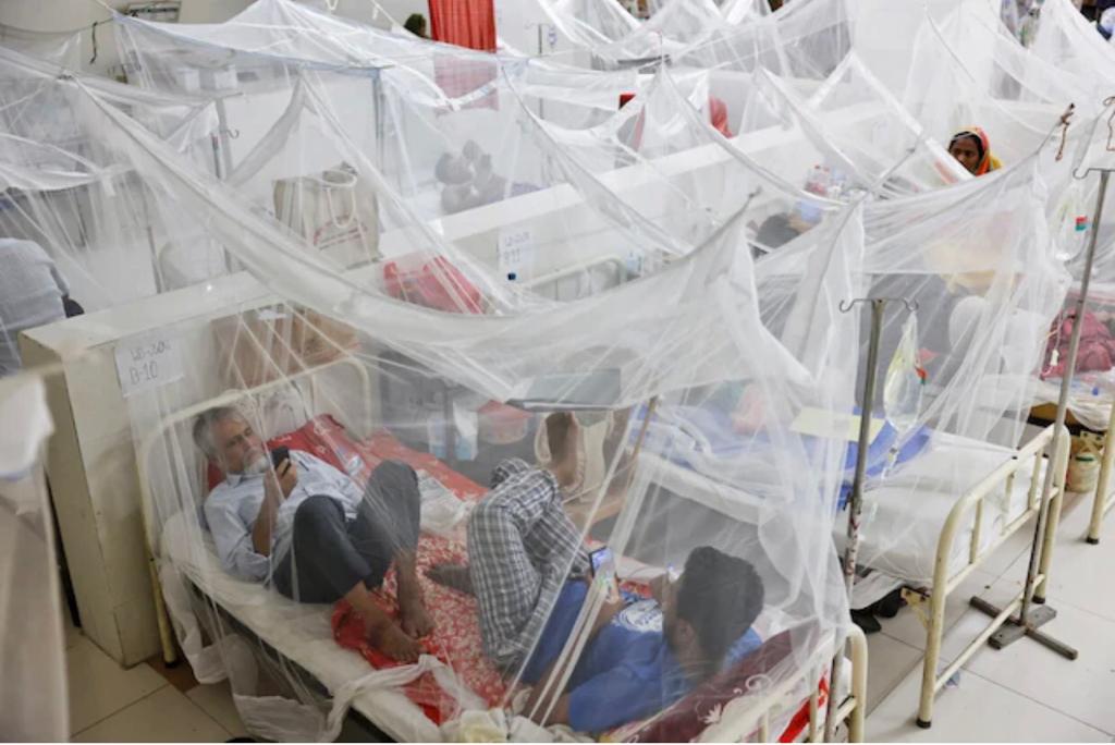 Bangladesh sufre terrible brote de dengue