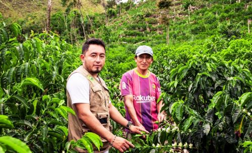 20 cultivadores de café en Cajamarca se unirán a la rueda de negocios de Expocafé