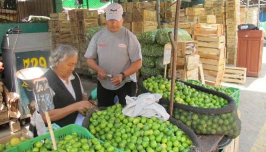 Limón se comercializa a menos de cuatro soles por kilogramo en el mercado mayorista de Lima