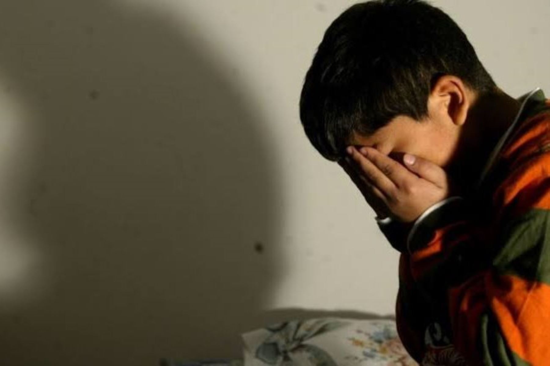 Junín: autoridades y sociedad civil definen acciones para combatir bullying en colegios