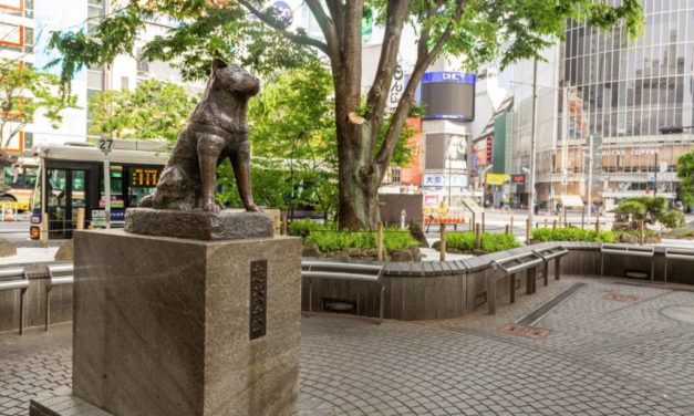 Japón celebrará el centenario de Hachiko