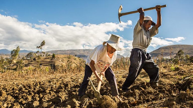 Conveagro: programa "Plan Unidos" solo beneficiará a algunos agricultores