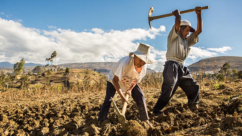 Conveagro: programa «Plan Unidos» solo beneficiará a algunos agricultores