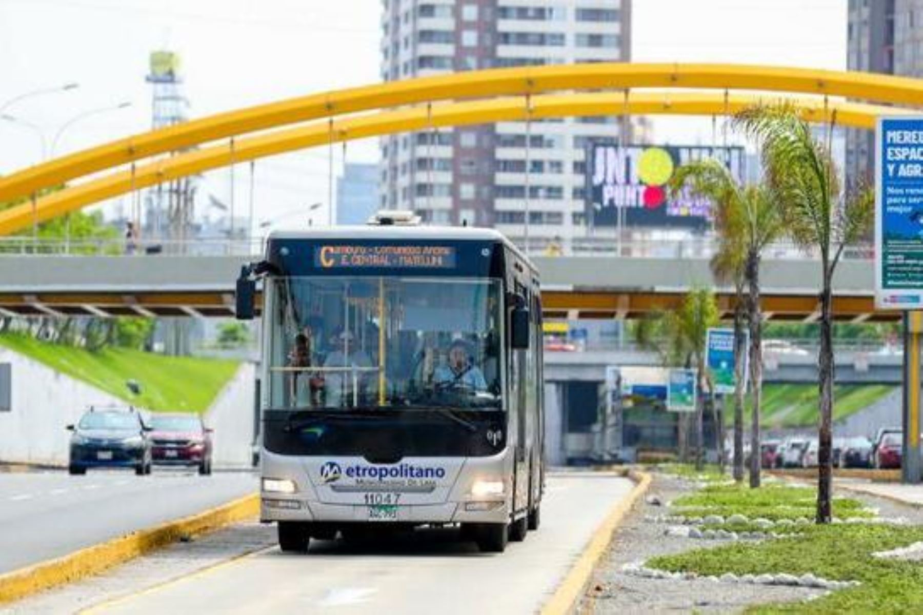 Navidad: Metropolitano aumentará autobuses en festividades