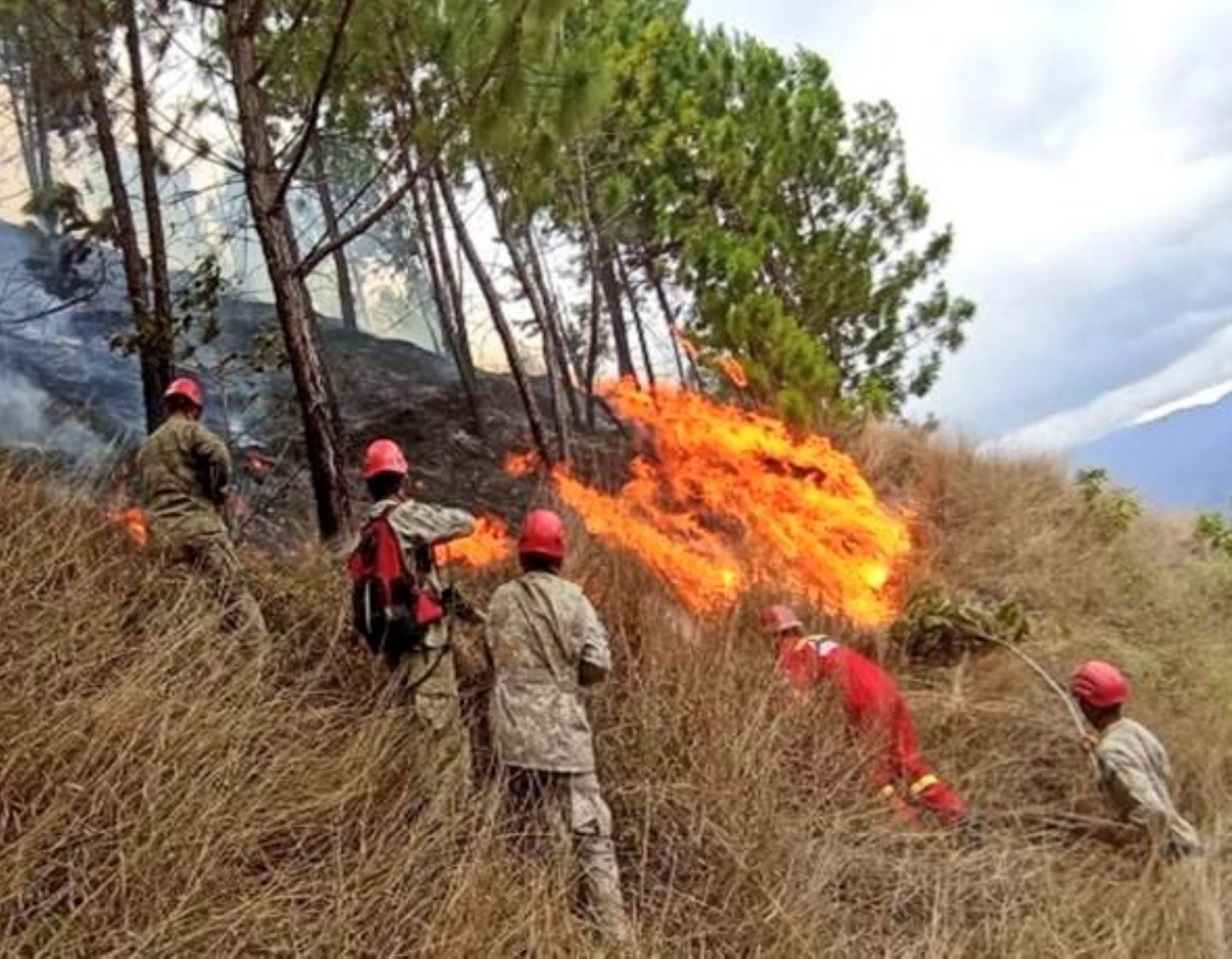 Arequipa: se reactiva incendio forestal en la provincia de Caravelí