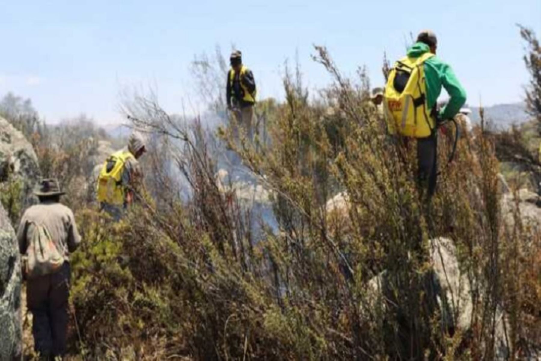 Autoridades de Arequipa tratan de extinguir incendio forestal en distrito de Cahuacho