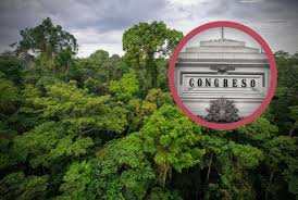 Congreso aprueba reforma de la Ley Forestal y de Fauna Silvestre