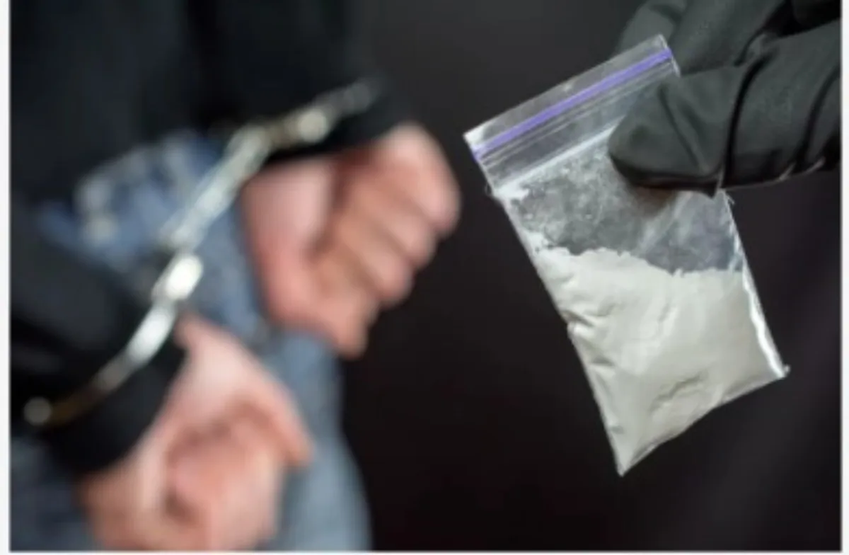 Red de narcotráfico utilizaba decoración navideña para mandar drogas al extranjero