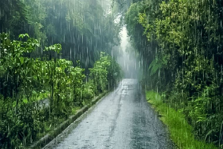 109 distritos de la Selva se verán afectados por las fuertes lluvias