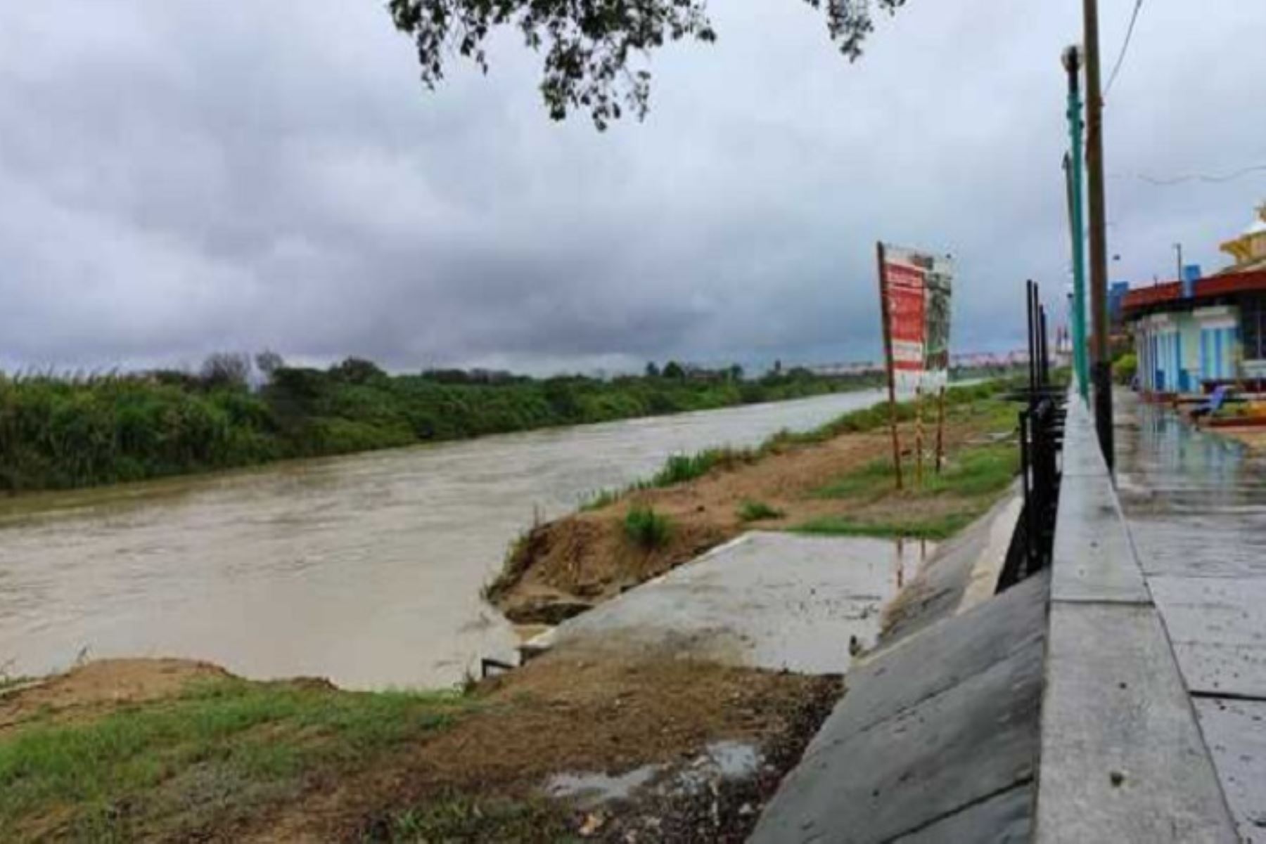 Alerta Huánuco: Río Huallaga en umbral rojo amenaza 12 poblados