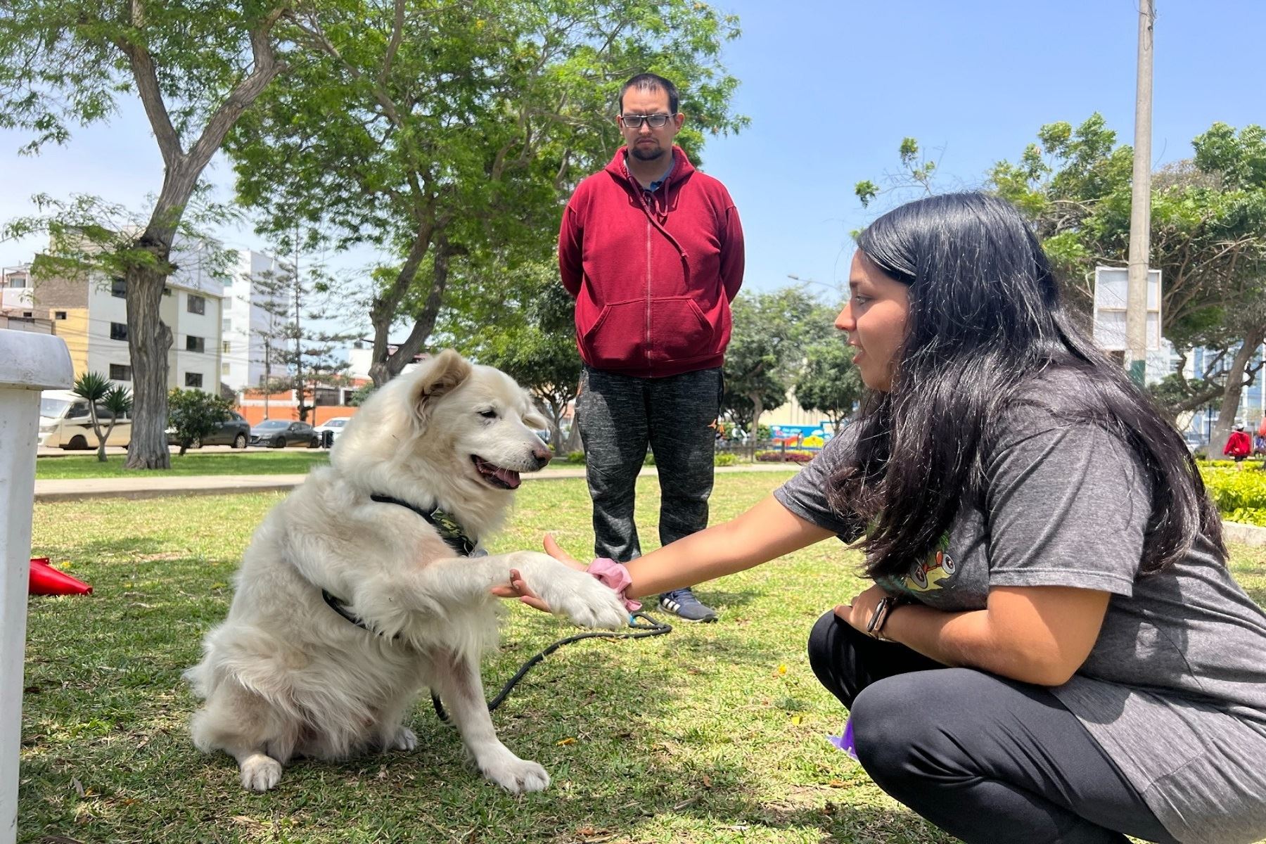 Brigada Canina ofrece clases gratuitas de adiestramiento para mascotas en Pueblo Libre