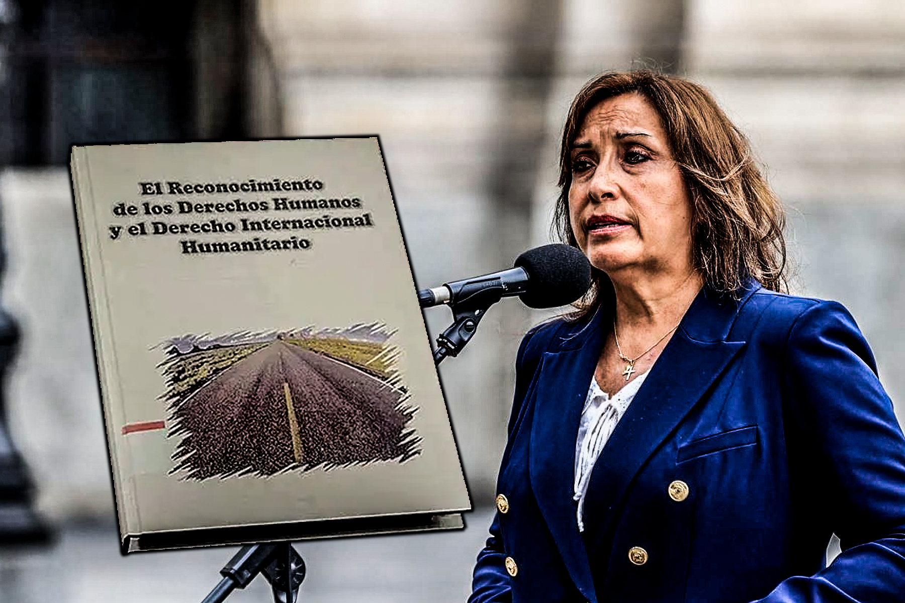 Dina Boluarte: Poder Judicial incautó libro por aparente plagio