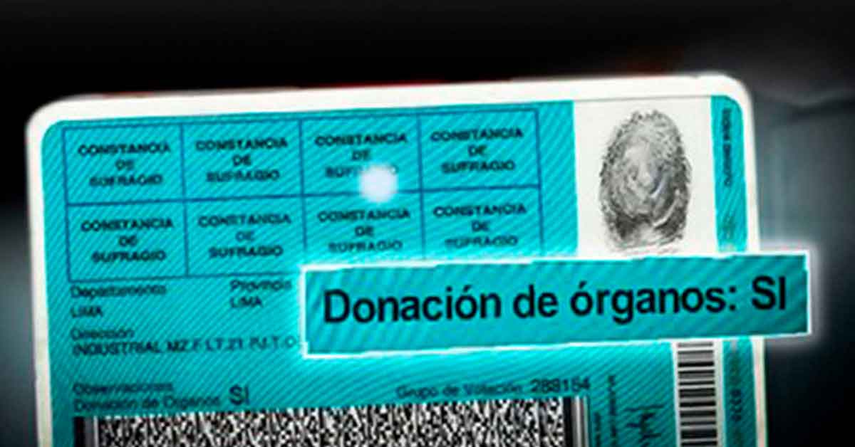 Donación de órganos: nueva ley haría que todos sean donadores