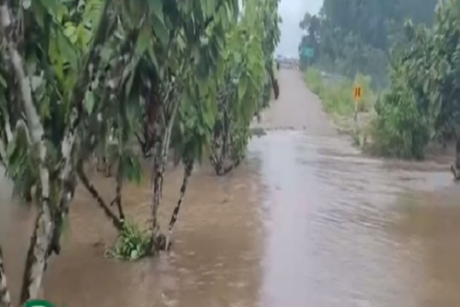 Desborde de ríos en Huánuco afectan 67 casas, caminos y cultivos