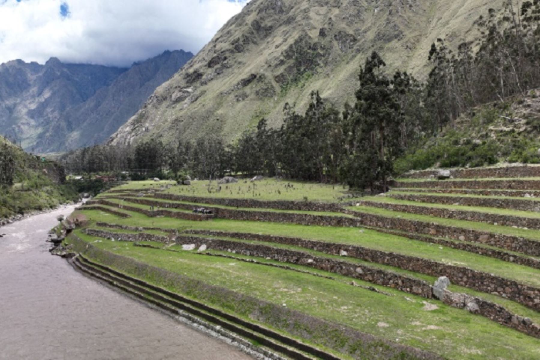 Parque arqueológico de Machu Picchu: restauran trece andenes incas en Machuq’ente