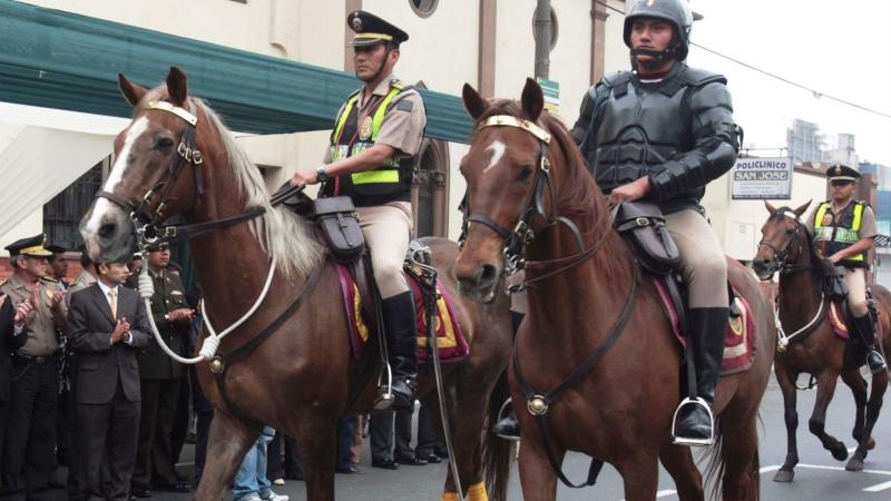 Propuesta legislativa insta a retirar los caballos de la PNP en eventos