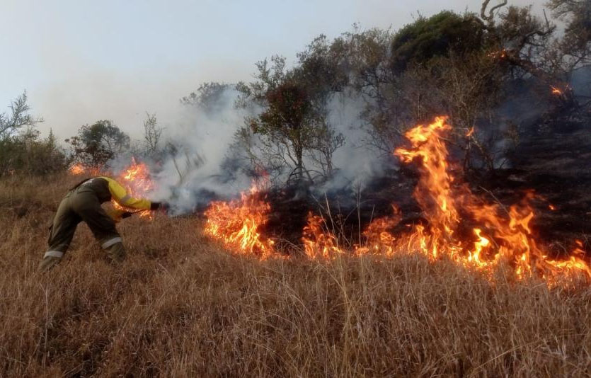 Parlamento Andino expresa  preocupación por incendios  forestales en la región