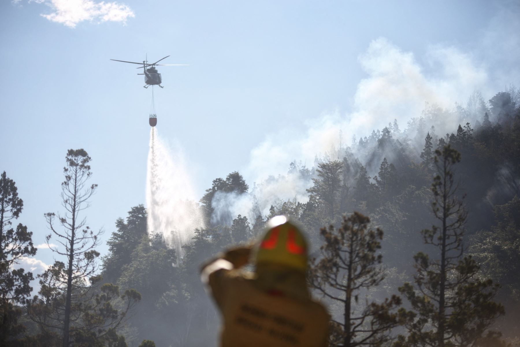Argentina: Controlan incendio en parque nacional que ha quemado casi 600 hectáreas