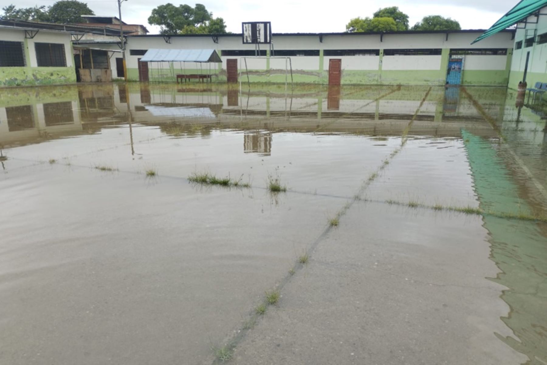 Lluvias intensas en Tumbes afectó a 523 hogares y 773 individuos