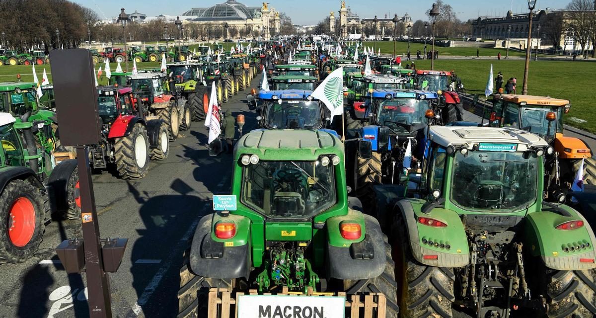Huelga agrícola en España: motivos, demandas y duración