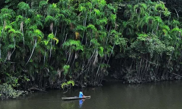 Parque Nacional Güeppí-Sekime (Créditos: Seturismo).