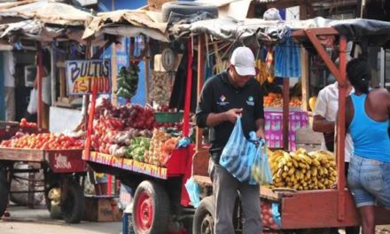 Informalidad: 9 de cada 10 trabajadores independientes son informales