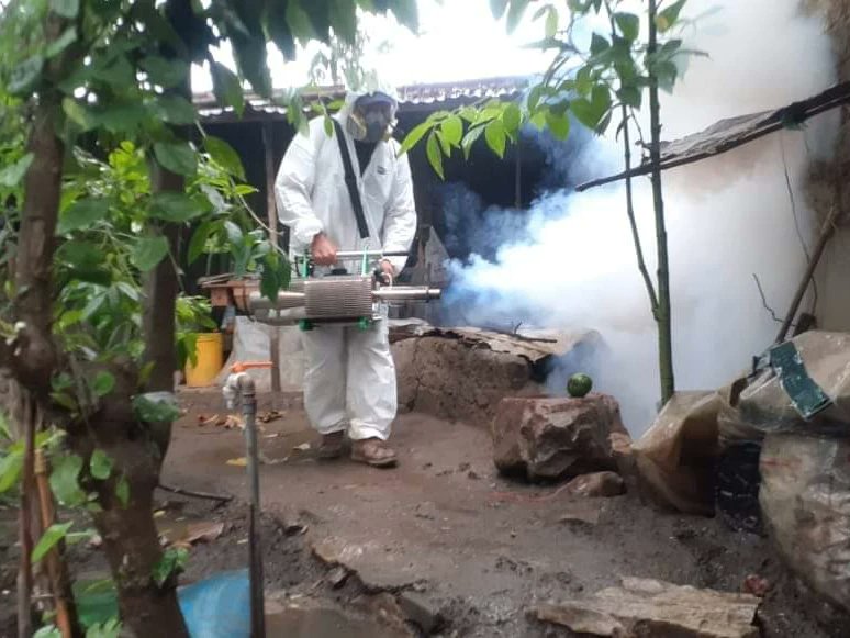 Minsa: alerta roja por 177 distritos con transmisión activa del dengue