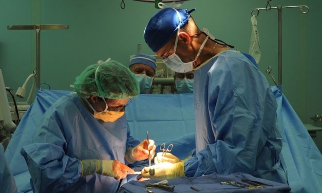 EE.UU: Realizan transplante de riñón de cerdo a paciente adulto