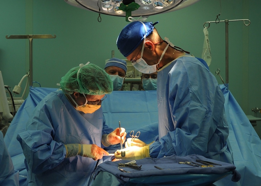 EE.UU: Realizan transplante de riñón de cerdo a paciente adulto