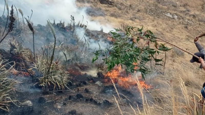 Alerta: Incendio forestal afectó a la población de Áncash