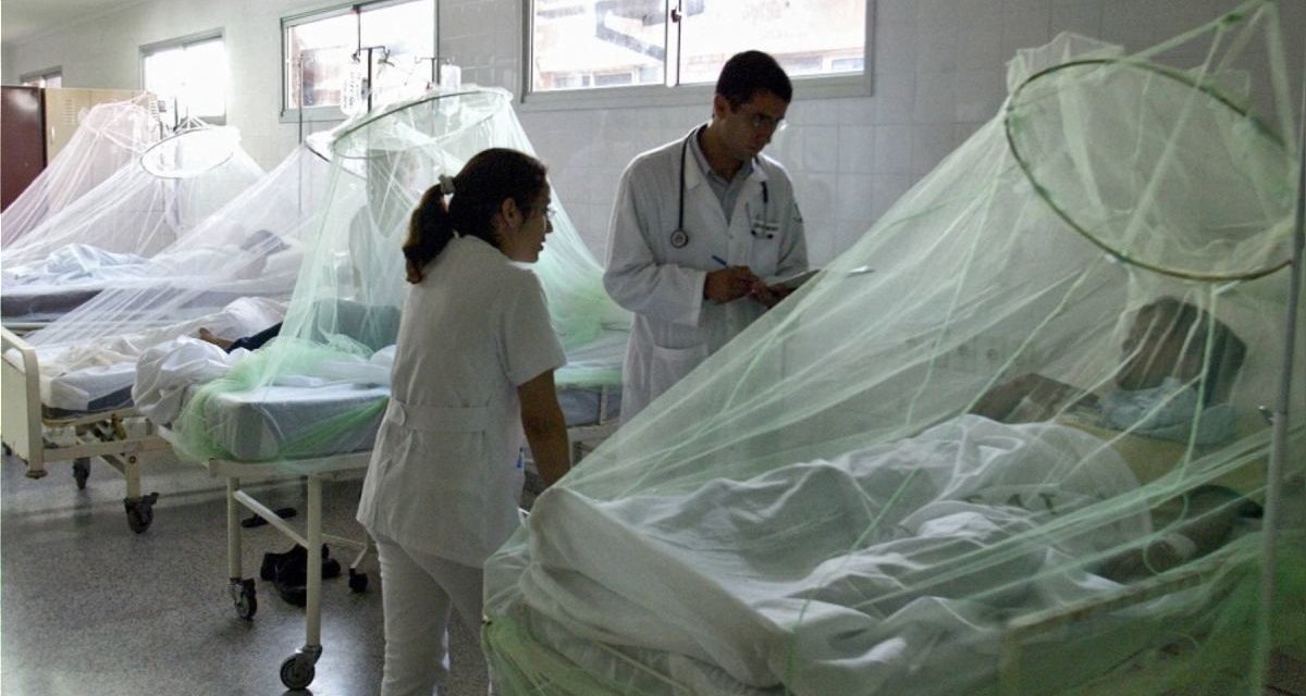 Alerta: Se eleva cifra a 12 fallecidos en Lambayeque por dengue