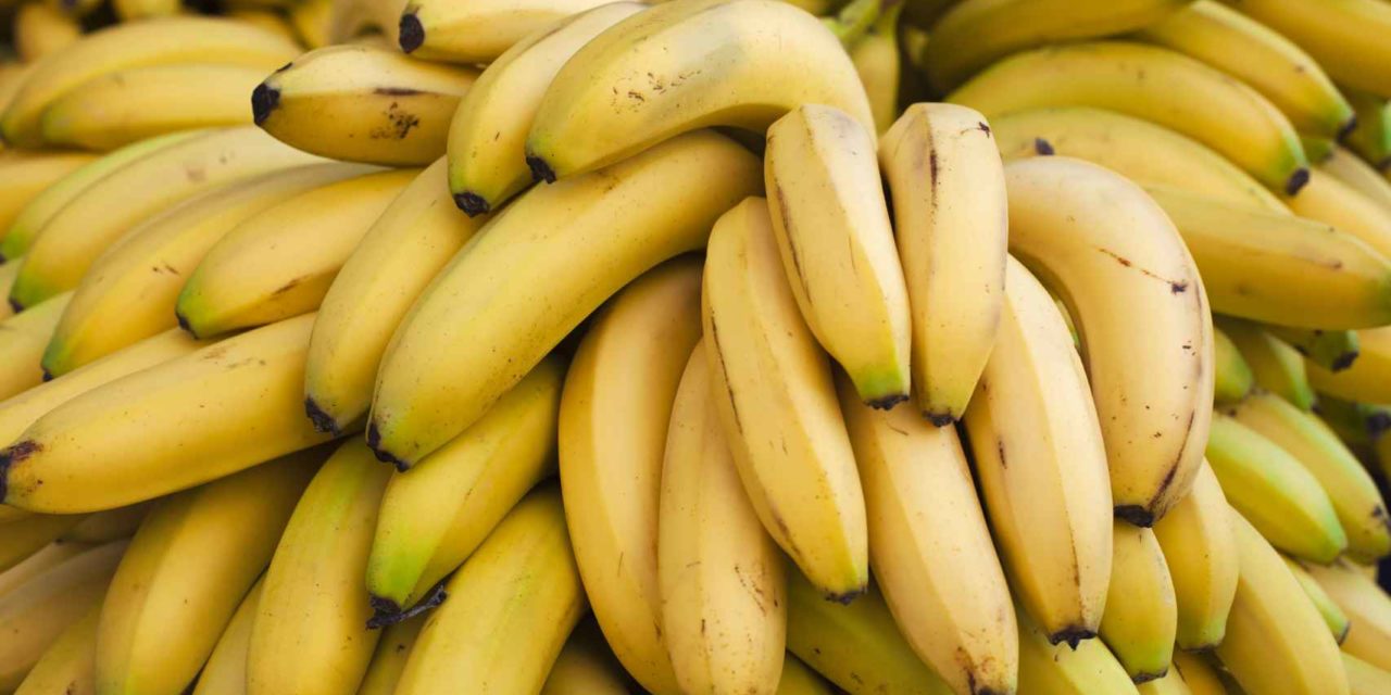 Plátano: fruta medicinal según estudios