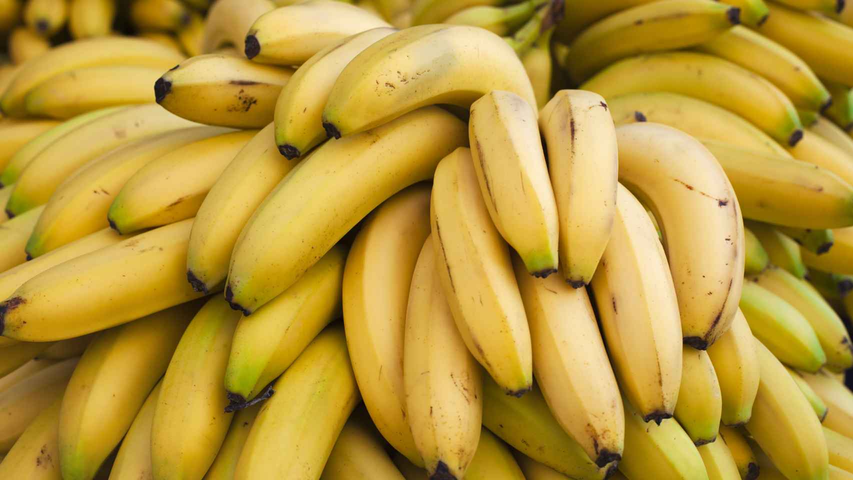 Plátano: fruta medicinal según estudios